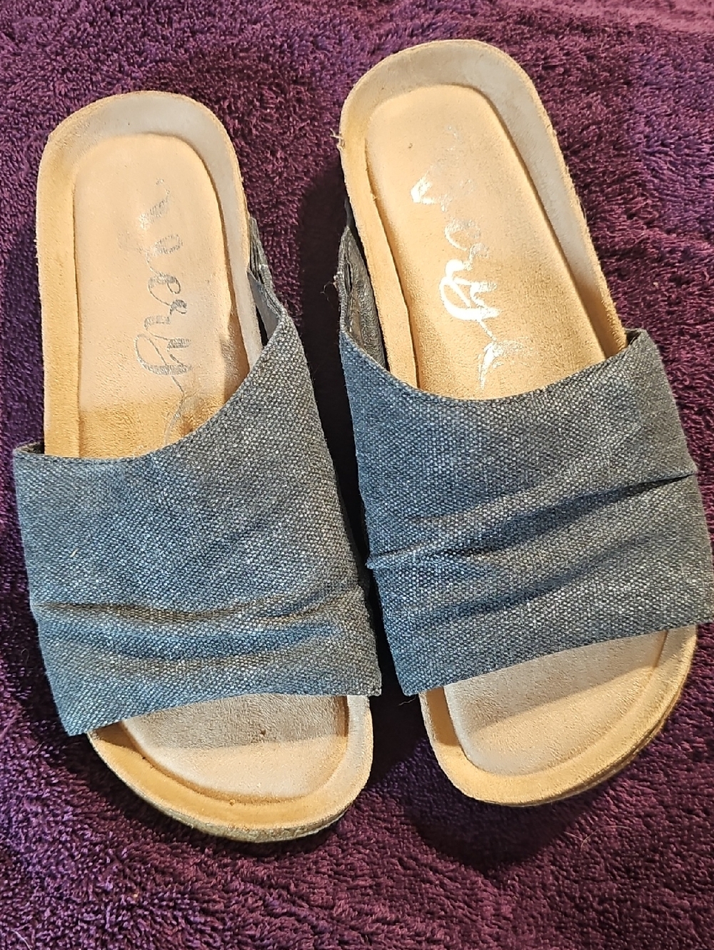 Very G Women's Denim Blue Slip-On Mules